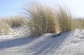 DSC4325